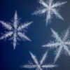 Photographer Captures Highest Resolution Photos Of Snowflakes